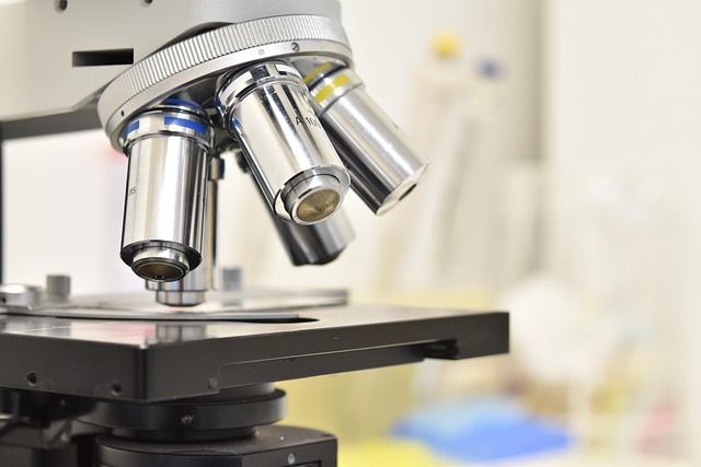 評價(jià)聚氨酯泡沫表皮增厚劑對冷鏈物流車廂隔熱層表面密實(shí)程度及防潮性的提升